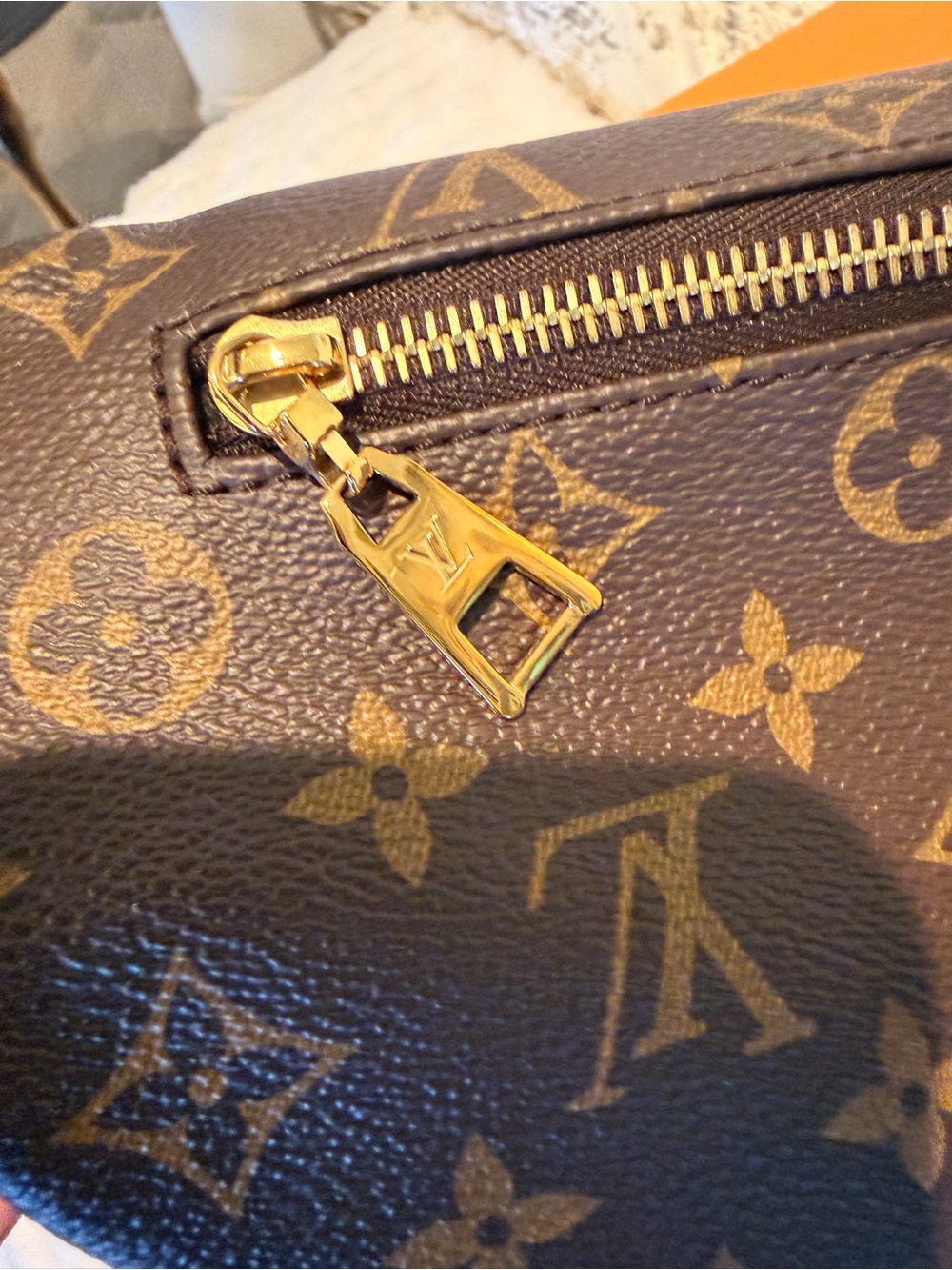 Louis Vuitton Bumbag in Monogram Canvas - Picture 12 of 16